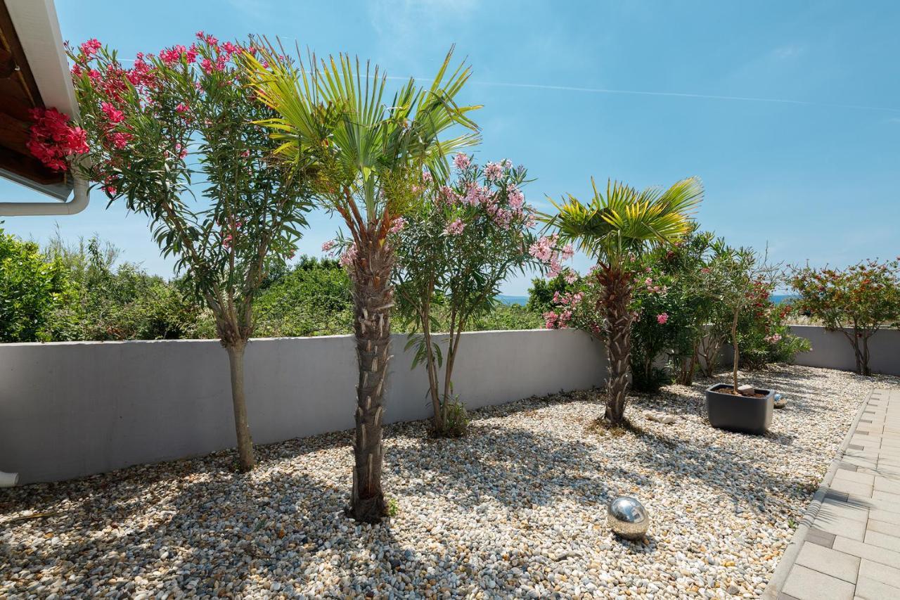 Malo Ferienvilla Privlaka, Pool, Boje, Wi-Fi, Wallbox プリヴラカ エクステリア 写真